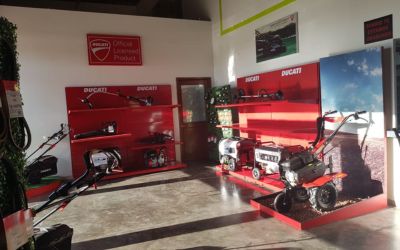 Campañas Publicitarias